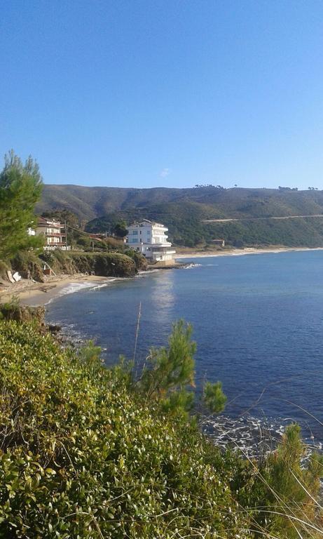 Sirena 3*